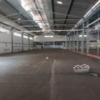 Cho Thuê Kho Xưởng Quận 7Diện Tích300M2 Trần Cao 8M Có Pccc Tự Động