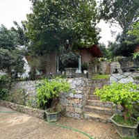 Bán Đất Nhà Vườn Đẹp - Mặt Đường 446 Tại Yên Trung, Thạch Thất, Hà Nội