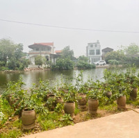 Bán Nhanh View Hồ Thoáng Mát Tại: Bá Khê Liên Nghĩa Văn Giang Hưng Yên