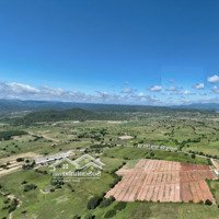 5,2Ha Làm Farm Nuôi Trồng, Gần Ubnd Xã Thuận Hòa, Dt711, Ql28, Cao Tốc