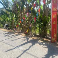 Bán Gấp Thửa Đất Xã Bình Phước - Long Hồ - Vĩnh Long