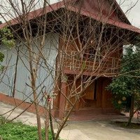 Nhà Vườn Giá Rẻ Lương Sơn, Hoà Bình