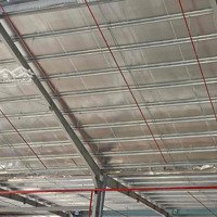 Kho Xưởng Mới Long An Pccc Tự Động Diện Tích: 5200M2 Và 10400M2 Giá 2,6 Usd/M