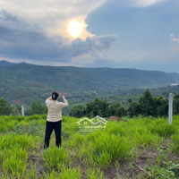 Cần Bán 500M2 Đất Tại Lộc Tân, Giá Mềm Pháp Lý An Toàn