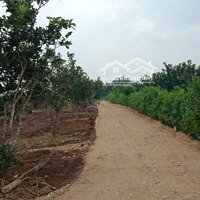 Kẹt Tiền Bán 3000M2 Đất Đầu Tư Ở Đồng Trúc, Thạch Thất, Hà Nội