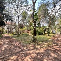 Bán Biệt Thự Song Lập View Vườn Hoa Cực Đẹp Rất Hiếm Tại Quang Minh Long Việt