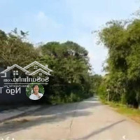 (L495) Nhượng Đất Đường Thông Ra Nguyễn Thị Nê, Xã Phú Hòa Đông,Diện Tích499M2, Chỉ 3 Tỷ 490