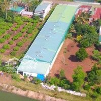 Bán Kho 1.500M2 Mới Xây Dựng Tại Krong Păc-Daklak Trung Tâm Vùng Sầu Riêng