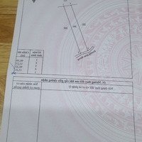 Bán Sào Đất Trồng Cây Lâu Năm Phú Tân Định Quán Diện Tích: 1216M(13*94)