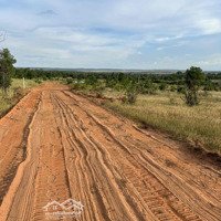 Bán Gấp Đất Sát Sân Bay Phan Thiết