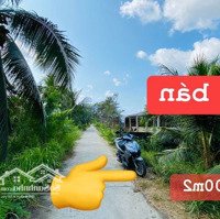 Bán Đất Vườn Dừa, Giá Rẻ Tại Phong Nẫm, Giồng Trôm