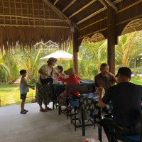 Bán Lô Đất Cẩm Thanh, Hội An, 538M2 Có 456M Đất Ở, Phù Hợp Làm Homestay, Farm, Cafe, Nhà Hàng 11 Tỉ