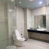 Phòng Toilet Riêng (4.68X7M), Mới, Hiện Đại, Sân Cắm Trại Thật Chill