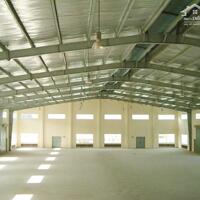 Cho Thuê Kho Bình Dương - Tổng Kho Sóng Thần 2400M2