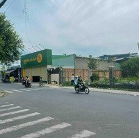 Đấtmặt Tiền- Diện Tích: 500M2 - Shr - Nguyễn Thị Ngâu - Đường Container Thông Các Tỉnh - Nhỉnh 13 Tỷ