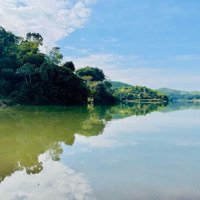 Bán Đất Bám Hồ Tại Phú Cường, Tân Lạc, Hoà Bình