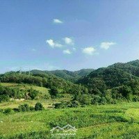 Bán Đất Nghỉ Dưỡng Khu Vực Lương Sơn - Hoà Bình