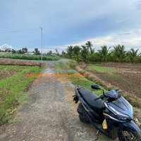 Bán Đất Nông Nghiệp 2041M2 Tại Thủ Thừa