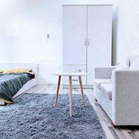 Siêu Phẩm Studio Cửa Sổ Lớn_Ngay Hồ Hảo Hớn Q1_25M2_1Pn