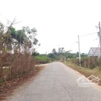 2,24 Ha 4 Mặt Tiền Đường Bao Quanh, Đường Nhựa Nguyễn Thông 176M