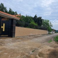 Bán Đất Có Nhà - Nhà Yến Ở Long Thành-Đn-Dt: 1,900 M2 - Giá:18 Tỷ (Tl)