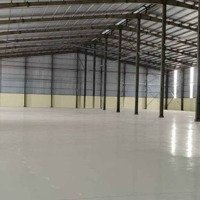 Cho Thuê Kho Xưởng Kcn Thuận Đạo Long An, Kv: 12.350M2,Xưởng: 7.600M2