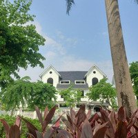 Biệt Thự Song Lập 240M2 Tại Khu B Geleximco Dương Nội, View Vườn Hoa Thoáng Mát. Giá Bán 28 Tỷ