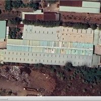 Cần Bán Đất + Nhà Xưởngdiện Tích60M X 200M (12459M2) Tại Xuân Phú, Xuân Lộc, Đồng Nai