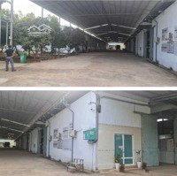 Cần Bán Đất + Nhà Xưởngdiện Tích60M X 200M (12459M2) Tại Xuân Phú, Xuân Lộc, Đồng Nai
