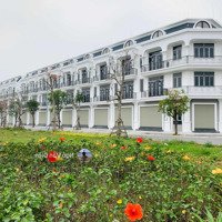 Bán Căn View Vườn Hoa Đã Có Sổ Đỏ, Giá Đầu Tư Hấp Dẫn - Dự Án Calyx Residence 319 Đông Anh