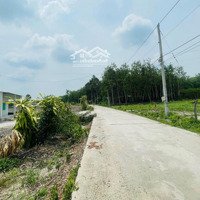 Đất Chơn Thành Giá Rẻ 267M2 Đất Có Sẵn Thổ Cư Giá Chỉ Hơn 400 Triệu