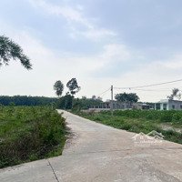 Bán Đất Vườn Thị Xã Chơn Thành Bình Phước. Diện Tích 9940M2 Có Cao Su Đang Thu Hoạch