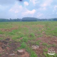 Bán Đất Ấp Lê Lợi Xã Quang Trung Huyện Thống Nhất Đồng Nai Giá Rẻ