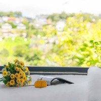 Hạ 3 Tỷ Bán Gấp Căn Homestay Bé Xinh View Cực Đẹp Xuân Thọ Đà Lạt