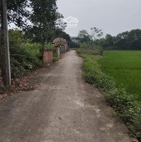 Đất Thôn Phú Hữu, Tân Xã, Thạch Thất, Hà Nội - Giảm Ngay 100 Triệu
