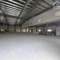 Cho Thuê Xưởng 3000M2 Tại Long Bình, Biên Hòa - Giá 80 Triệu/Tháng.