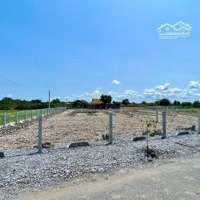 Đất Làm Nhà Vườn Mặt Tiền Đường Nhựa,Diện Tích1000M2 Có 300M2 Thổ, Giá Rẻ Nhất Khu Vực Xã Mỹ Lộc