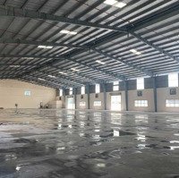 Cho Thuê Xưởngdiện Tích2000M2 Đến 10000M2, Giá: 50K/M2, Pccc, Cont 24/24, Có Sân Rộng Đậu Xe, Lưu Cont.