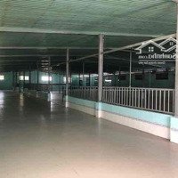 Cho Thuê Hoặc Bán Kho Xưởng Củ Chidiện Tích4600M2