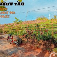 View Đồi 360 Có 102 Đẹp Nhất Tại Định Quán Đường Giao Thông Cách Ql20 500M