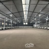 Cho Thuê Kho Xưởngdiện Tích2400M2 Có Pccc Tự Động Ở Nguyễn Văn Quỳ