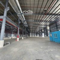 Xưởng An Thạnh, Khu Sản Xuất, 3000M2, Giá Bán 100 Triệu, Xưởng Cao 12M