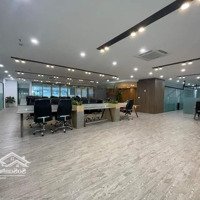 Bql Geleximco 36 Hoàng Cầu Cho Thuê 100M2, 200M2, 300M2, 500M2 Đẹp Nhất Đống Đa Giá Chỉ Từ 220K/M2