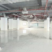 Cho Thuê Tầng Thương Mại Gần Chợ Phú Lâm Kinh Doanh Tự Dodiện Tích715M2, 1200M2, 500M2 Hđ Thuê Dài Hạn