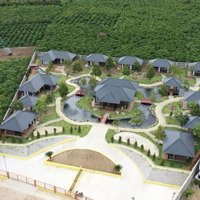 Chủ Kẹt Tiền Bán Khu Resort Tổ Hợp 9 Villa Bảo Lộc, Lâm Đồng - 26 Tỷ