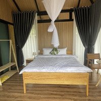 Chủ Kẹt Tiền Bán Khu Resort Tổ Hợp 9 Villa Bảo Lộc, Lâm Đồng - 26 Tỷ