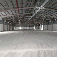 Nhà Xưởng 3000M2 Tại Kcn Kim Thành Giá 2,8Usd/M2, Pccc Tiêu Chuẩn