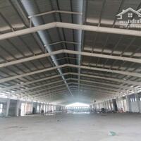 Nhà xưởng 3000m2 tại KCN Kim Thành giá 2,8Usd/m2, PCCC tiêu chuẩn.