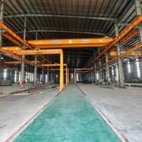 Kcn Visip2.. 10.000M2 Xưởng Cho Thuê 3,8$/M2