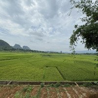 Lô Đất 917M2 Full Thổ Cư Tại Dũng Phong, Cao Phong: Cơ Hội Vàng Trong Vùng Thiên Nhiên Tươi Đẹp